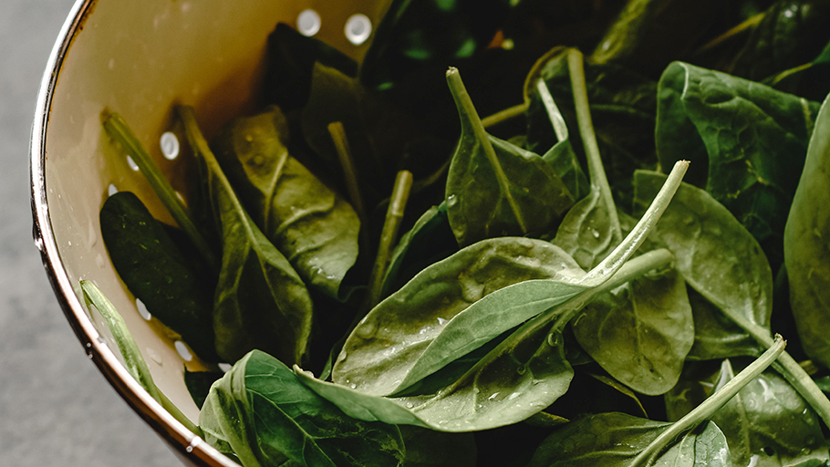 Bowl filled with spinach